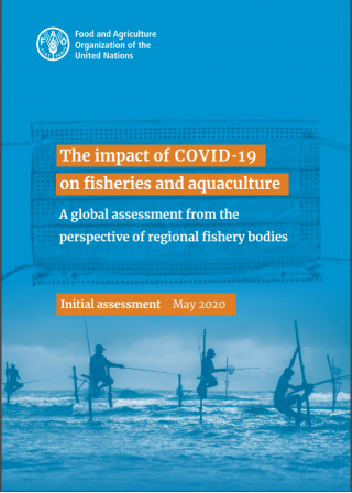 COVID FAO ASSESSMENT COVER